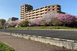 宇喜田公園フラワープロムナード