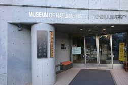 東北大学理学部自然史標本館