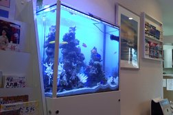 Aquarium Design Lab ZEN 【Aquarium TOJO 東京】