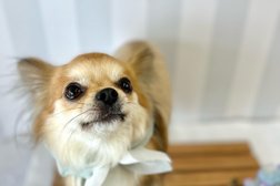 dog care salon cuddle dog(カドルドッグ)