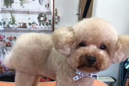 Ｎ.dog grooming salon