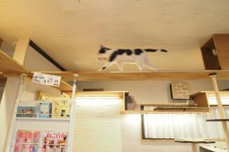 Cat's inn Tokyo