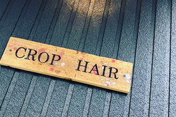 Crop・hair