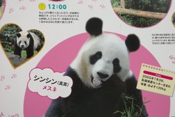 ジャイアントパンダ舎 上野動物園